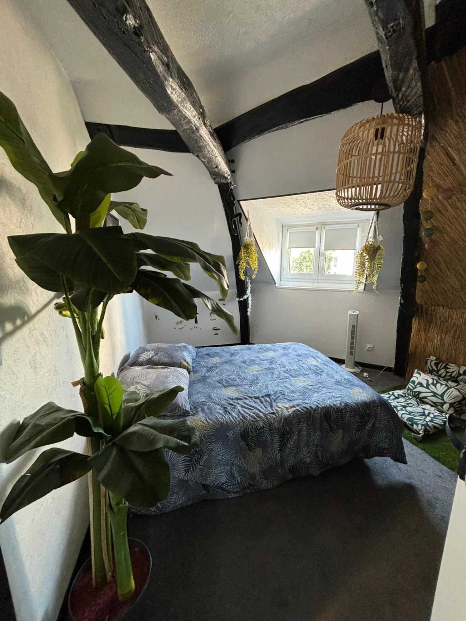 Apartamento Jungle Cosy Louviers Exterior foto