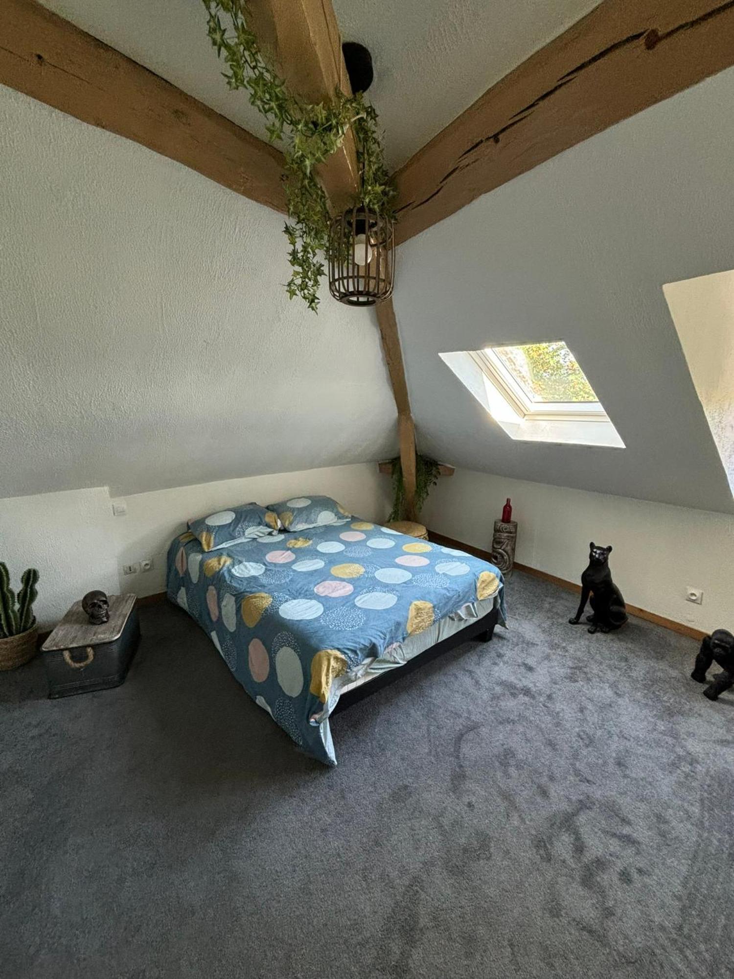Apartamento Jungle Cosy Louviers Exterior foto
