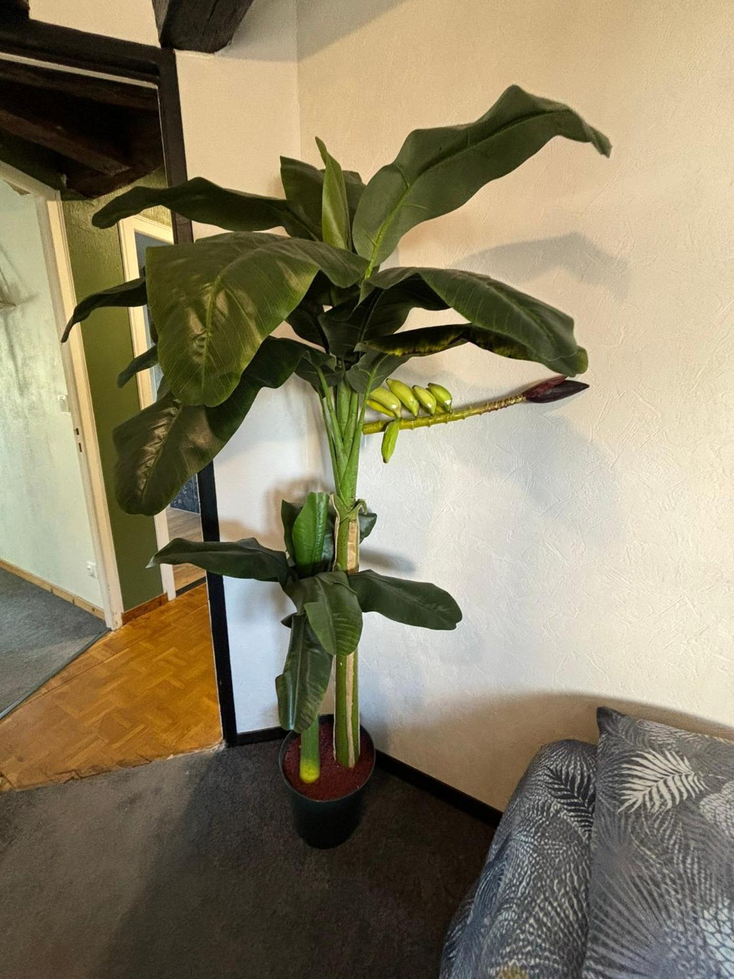 Apartamento Jungle Cosy Louviers Exterior foto
