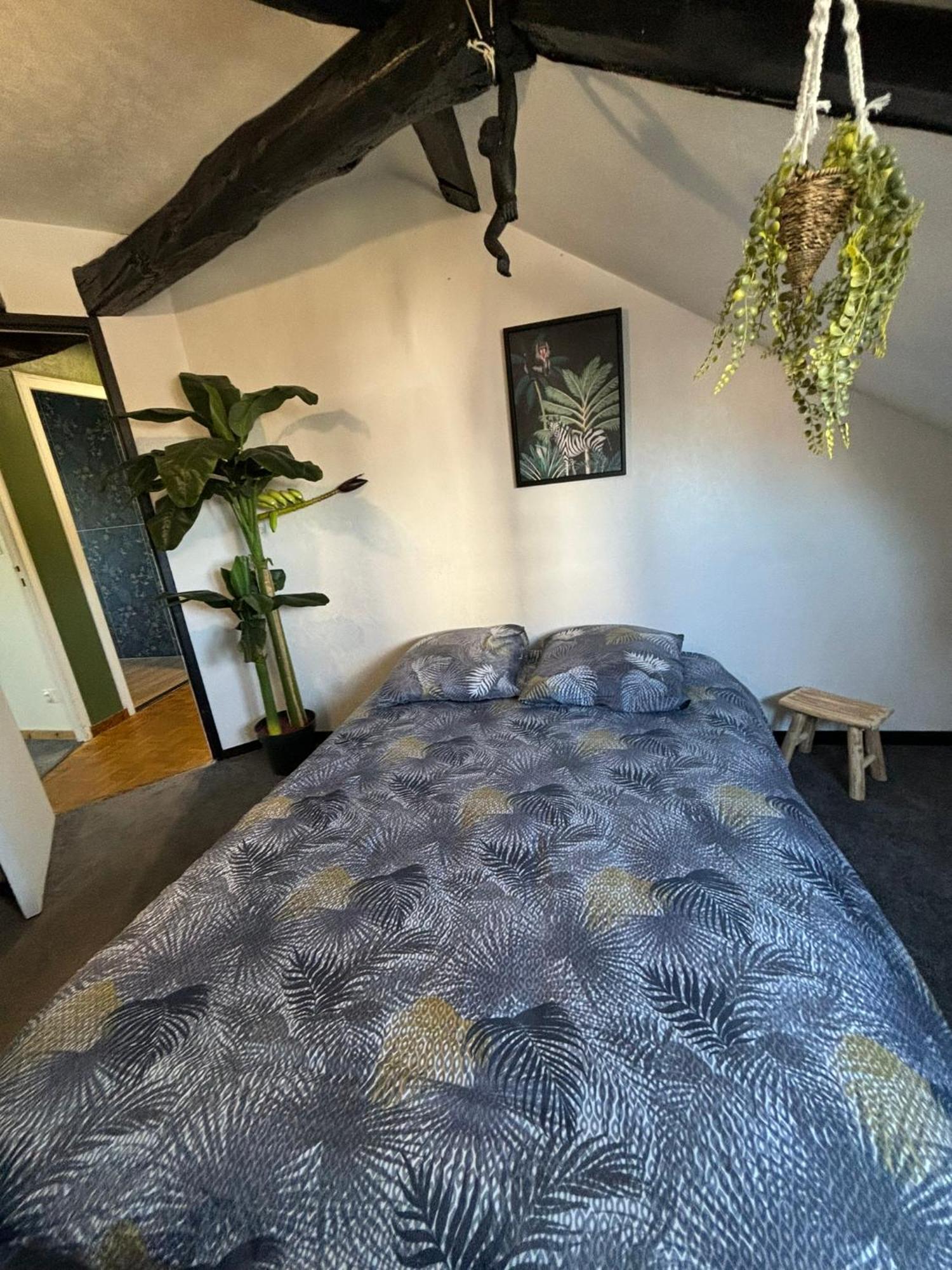 Apartamento Jungle Cosy Louviers Exterior foto